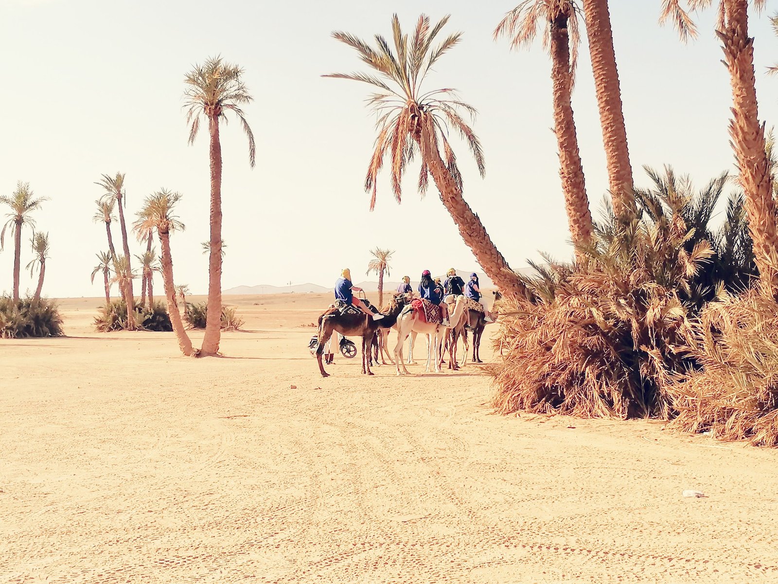 Welcome to the zenith of Africa’s tourism: my Marrakech experience